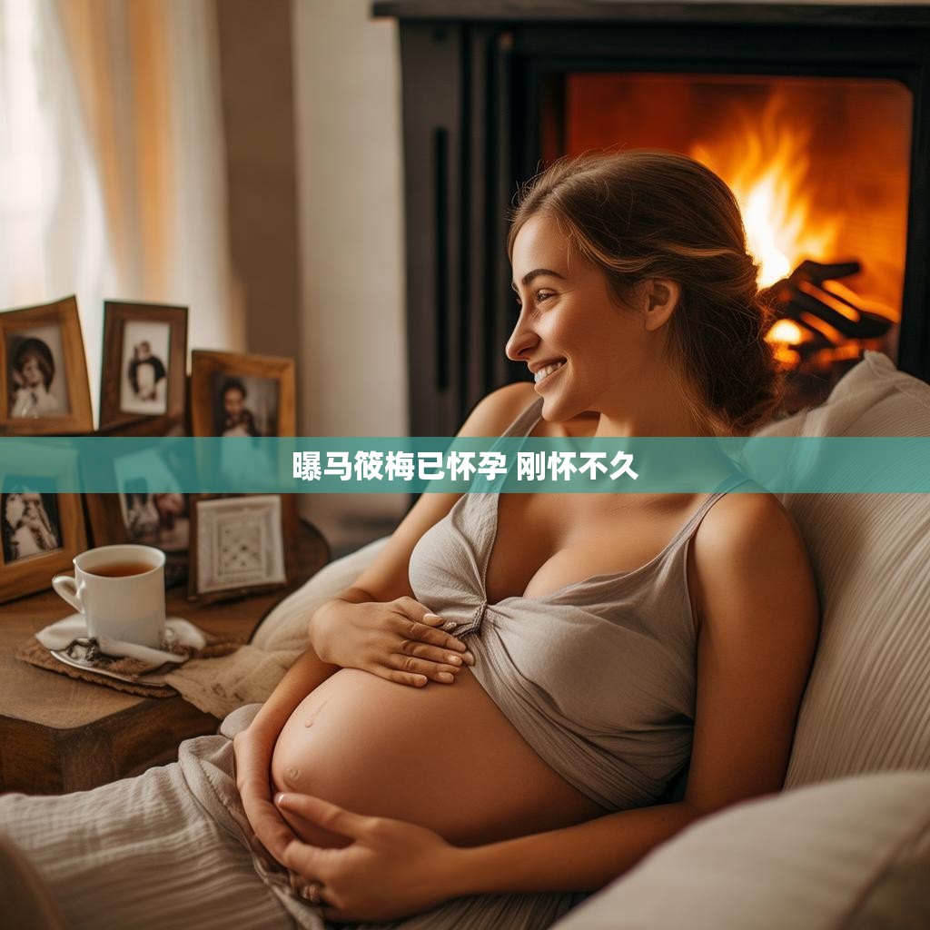 曝马筱梅已怀孕 初为人母